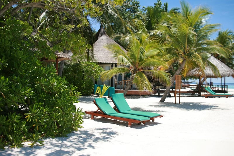 Tropical Paradise
